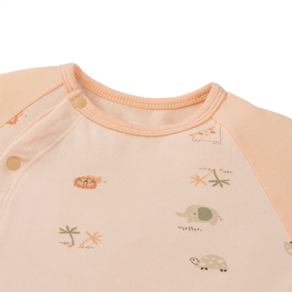 Set 2 Bodysuit kháng khuẩn Modal đùi Animo BMC1024027 (0-12M,Cam)