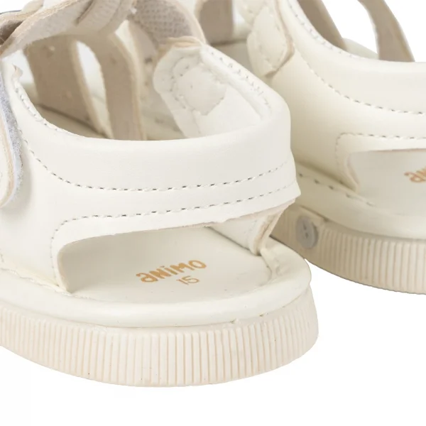 Giày tập đi chút chít Animo TT A2501_MN007 (15-17,Trắng)
