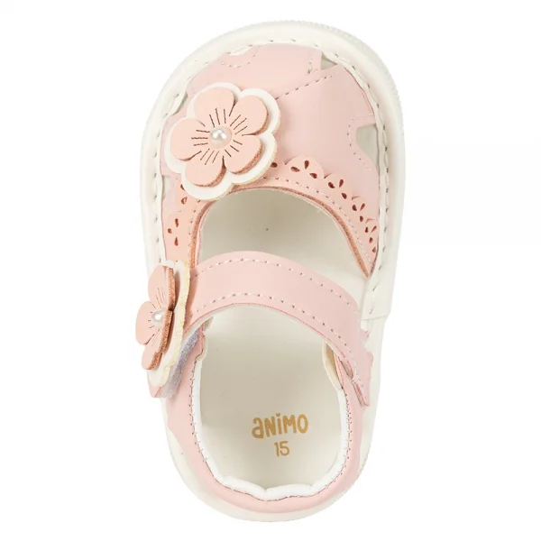 Giày tập đi chút chít Animo BG A2501_MN006 (14-17,Hồng)