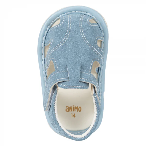 Giày tập đi chút chít Animo BT A2501_MN005 (14-16,Xanh)