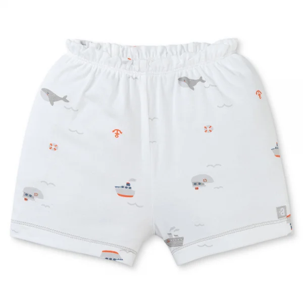 Set 2 Bộ modal kháng khuẩn ngắn Animo VD0225015 (0-24M,Xám-trắng,NN06)