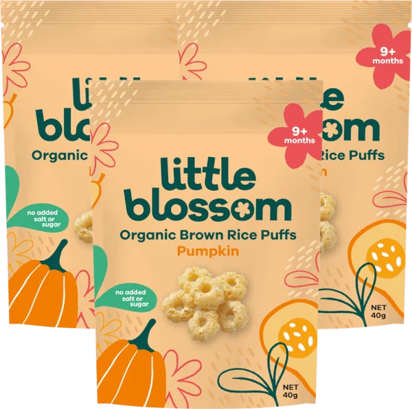 Combo 3 Bánh Puffs Gạo Lứt Hữu Cơ Little Blossom Vị Bí Ngô