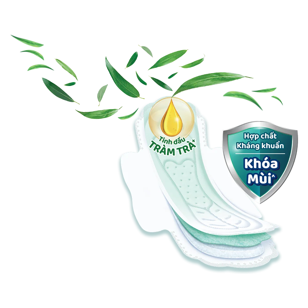 Combo 2 Băng vệ sinh Molped Kháng Khuẩn 8 miếng