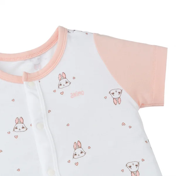 Set 2 Bodysuit modal kháng khuẩn đùi Animo VD0225022 (0-12M,Dâu-trắng,TT06)