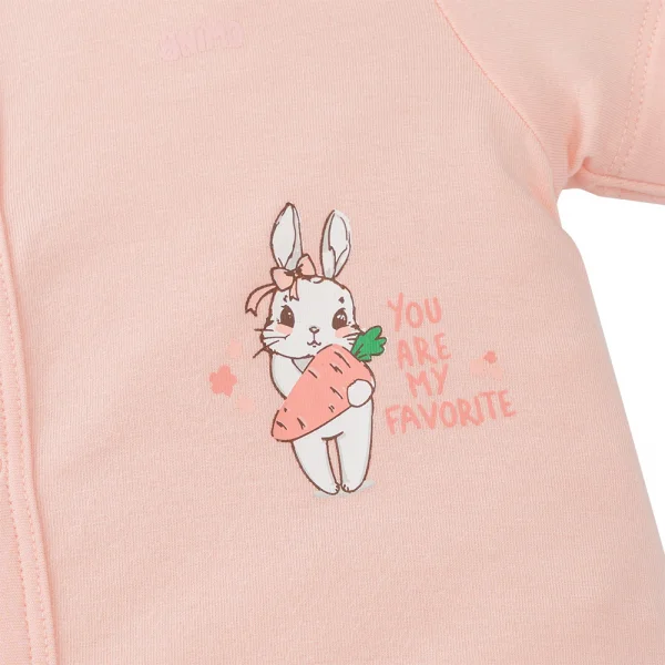 Set 2 Bodysuit modal kháng khuẩn đùi Animo VD0225022 (0-12M,Dâu-trắng,TT06)