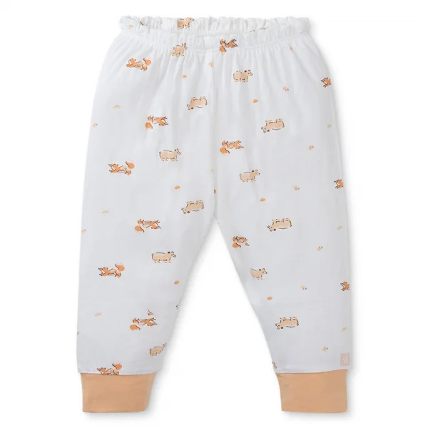 Set 2 Bộ modal kháng khuẩn dài Animo VD0225017 (0-24M,Cam-trắng,TT06)