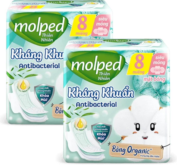 Combo 2 Băng vệ sinh Molped Kháng Khuẩn 8 miếng