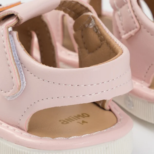 Giày tập đi chút chít Animo BG A2503_MN019 (14-16,Hồng)