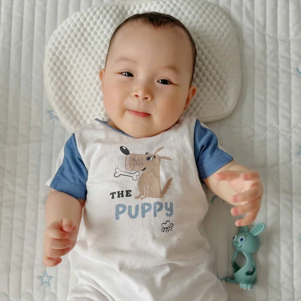 Bodysuit bé trai đùi Animo KK0325054-CC016 (0-12M,Trắng- Xanh,DD02)