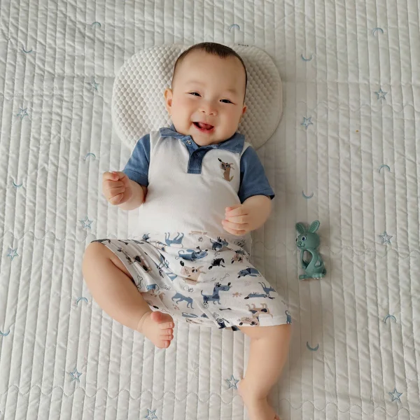 Bodysuit bé trai đùi Animo KK0325053-CC015 (0-12M,Trắng- Xanh,DD03)