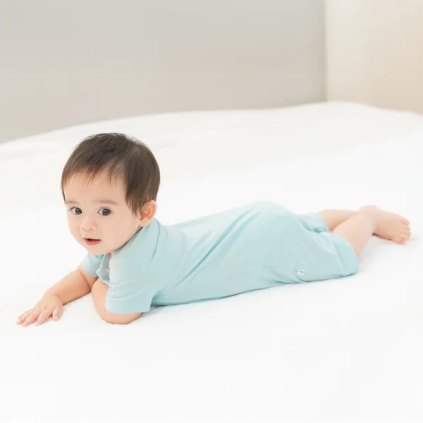 Set 2 Bodysuit modal kháng khuẩn đùi Animo VD0225021 (0-12M,Lá-trắng,TT06)
