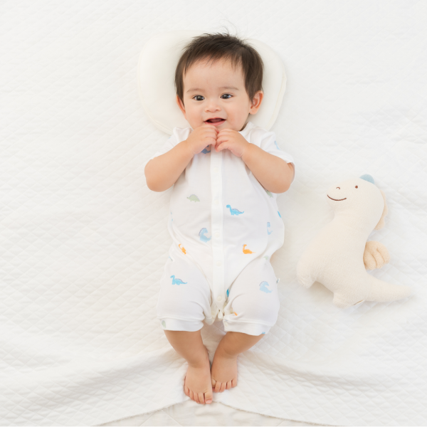 Set 2 Bodysuit modal kháng khuẩn đùi Animo VD0225019 (0-12M,Xanh-trắng,TT06)
