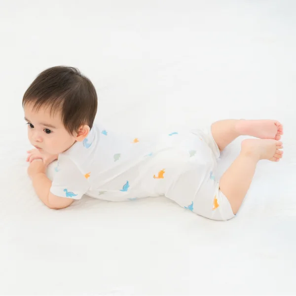 Set 2 Bodysuit modal kháng khuẩn đùi Animo VD0225019 (0-12M,Xanh-trắng,TT06)