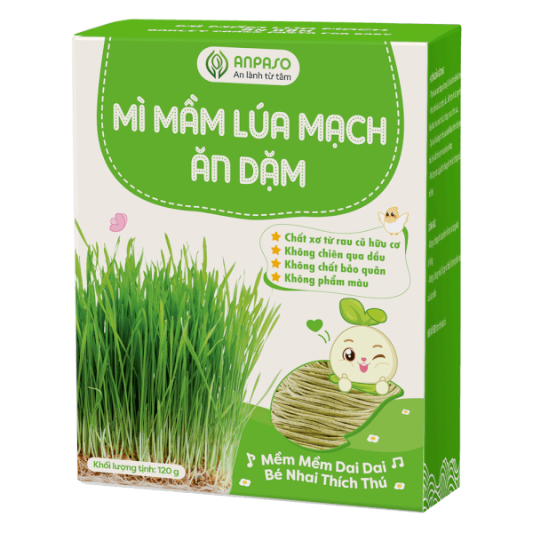 Mì mầm lúa mạch ăn dặm cho bé Anpaso 120g