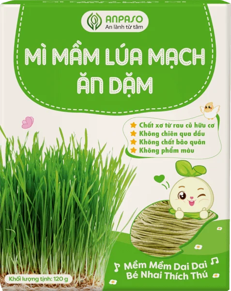 Mì mầm lúa mạch ăn dặm cho bé Anpaso 120g