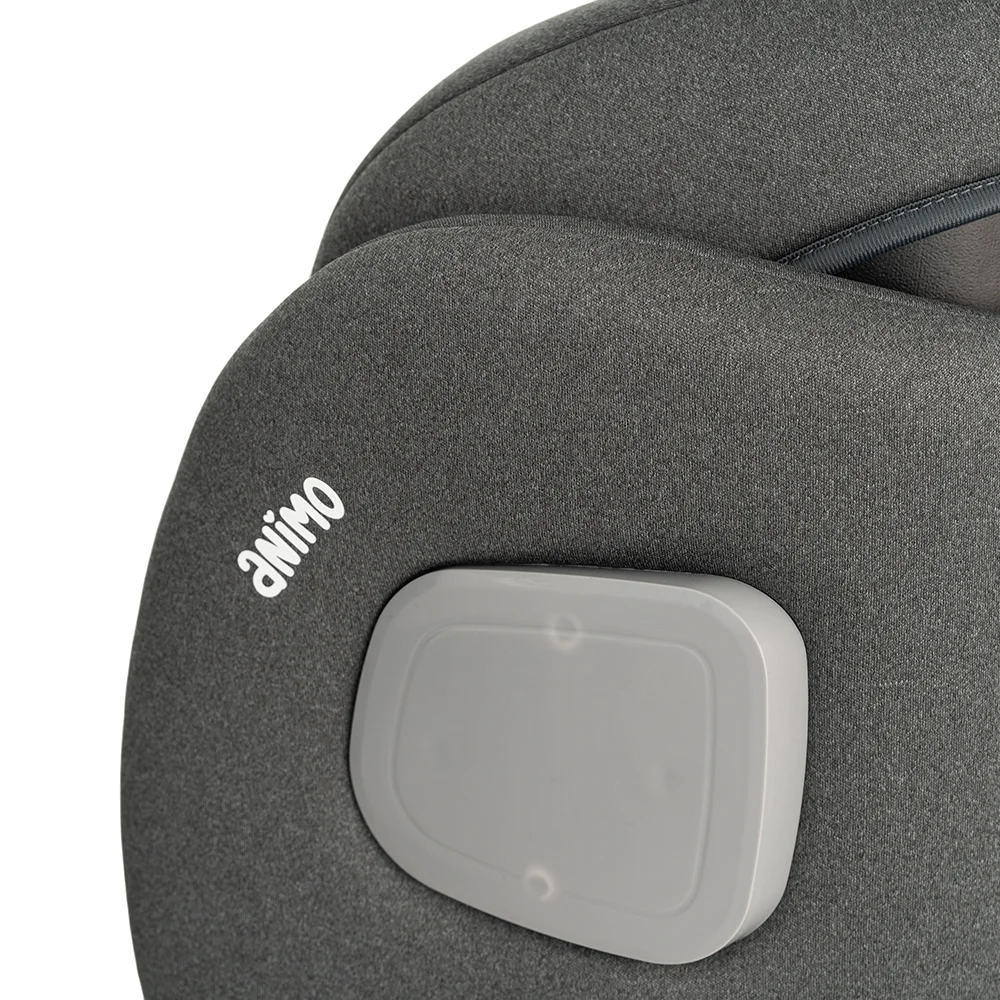 Ghế ngồi ô tô Animo Flexi Pro Isofix (100-150cm, i-size, HB629, Echo)