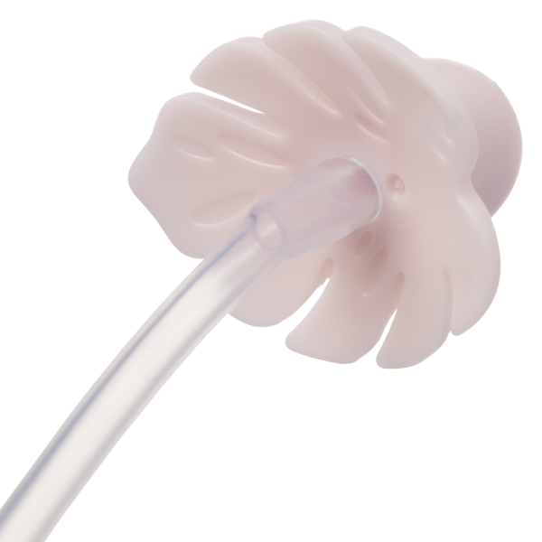 Bình nước 360 độ cho bé tập uống nước Bbox 240ml (Hồng, stitch)