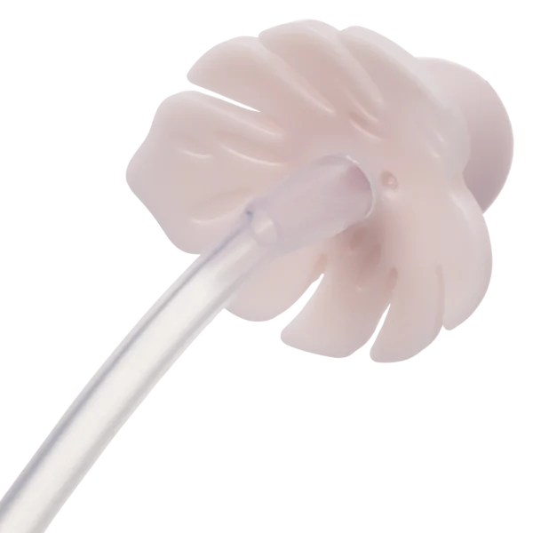 Bình nước 360 độ cho bé tập uống nước Bbox 240ml (Hồng, stitch)