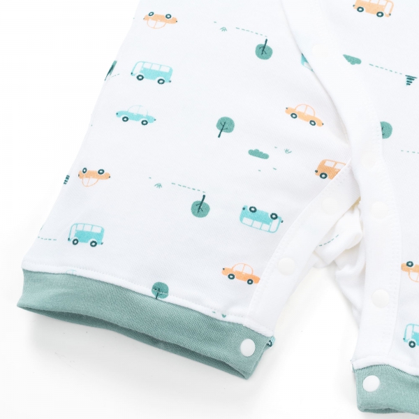 Set 2 Bodysuit kháng khuẩn Modal đùi Animo VD0725009 (0-12M,Lá-trắng,DD06)