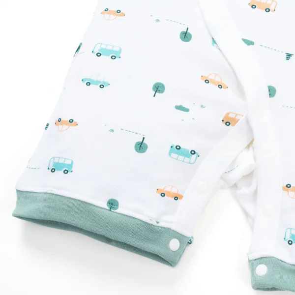 Set 2 Bodysuit kháng khuẩn Modal đùi Animo VD0725009 (0-3M,Lá-trắng,DD06)