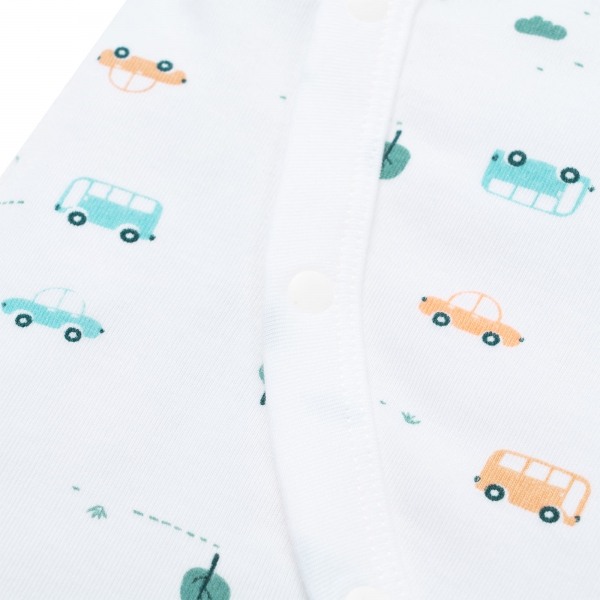 Set 2 Bodysuit kháng khuẩn Modal đùi Animo VD0725009 (0-12M,Lá-trắng,DD06)