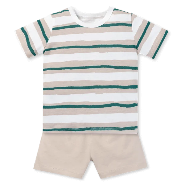 Bộ bé trai áo tay ngắn quần ngắn Animo easy (1-4Y) HN0725022