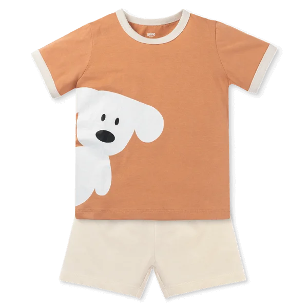 Bộ bé trai áo tay ngắn quần ngắn Animo easy (1-4Y) HN0725016