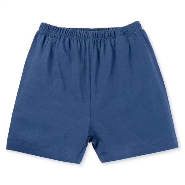 Bộ bé trai áo tay ngắn quần ngắn Animo easy (1-4Y) HN0725015