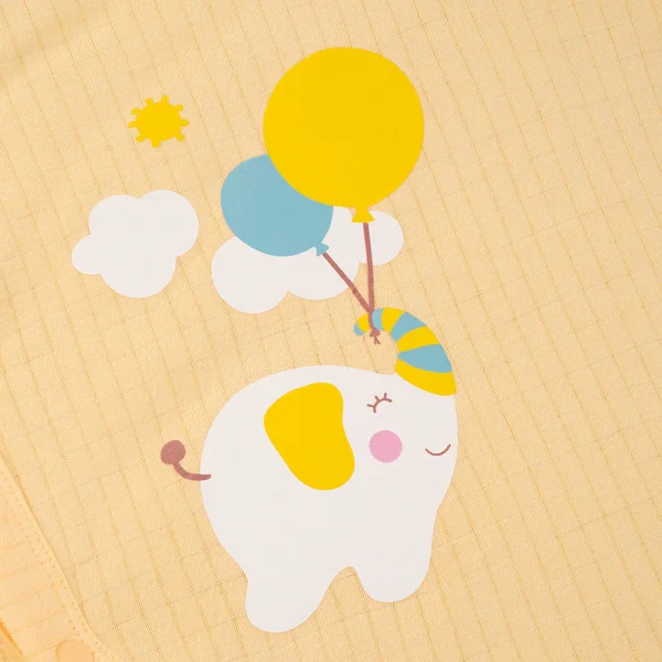 Set 2 bodysuit rayon chống muỗi đùi Animo VD0825028 (0-12M,Vàng-xanh,TT06)