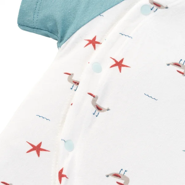 Set 2 Bodysuit kháng khuẩn Modal đùi Animo BMC0525030 (0-12M,Dương-trắng,DD06)