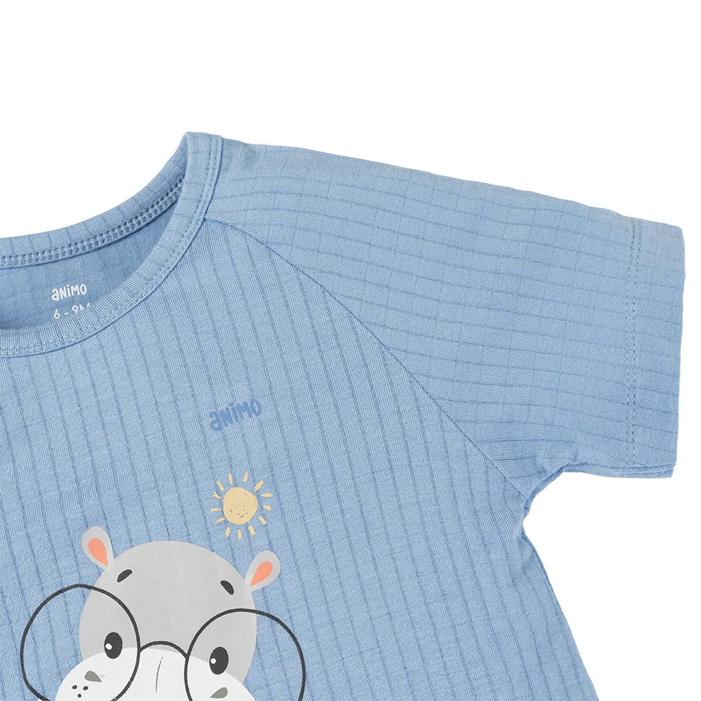 Set 2 bodysuit rayon chống muỗi đùi Animo VD0825027 (0-12M,Vàng-xanh,TT06)