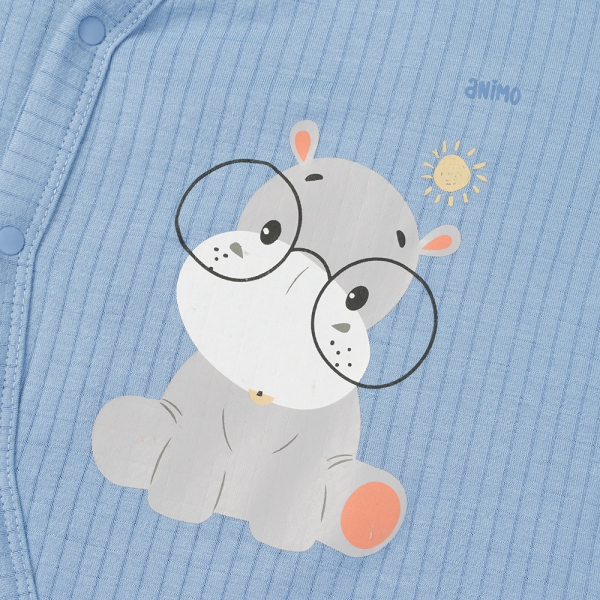 Set 2 bodysuit rayon chống muỗi đùi Animo VD0825027 (0-12M,Vàng-xanh,TT06)