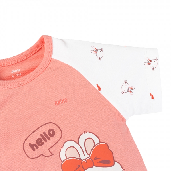 Set 2 Bodysuit kháng khuẩn Modal đùi Animo VD0725010 (0-12M,Dâu-trắng,TT06)