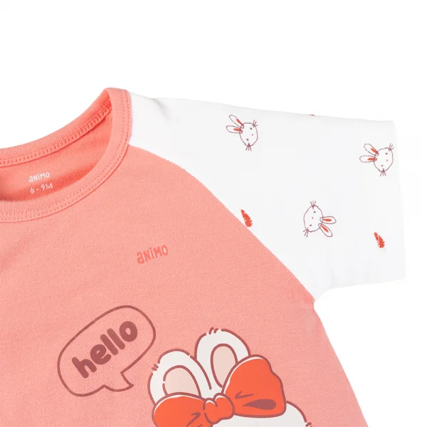 Set 2 Bodysuit kháng khuẩn Modal đùi Animo VD0725010 (0-3M,Dâu-trắng,TT06)