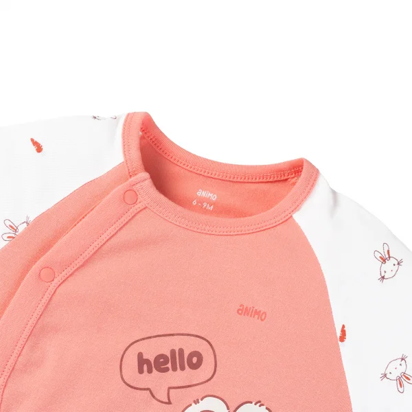 Set 2 Bodysuit kháng khuẩn Modal đùi Animo VD0725010 (0-3M,Dâu-trắng,TT06)