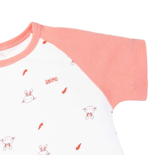 Set 2 Bodysuit kháng khuẩn Modal đùi Animo VD0725010 (0-12M,Dâu-trắng,TT06)