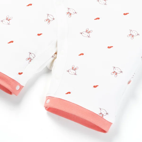 Set 2 Bodysuit kháng khuẩn Modal đùi Animo VD0725010 (0-3M,Dâu-trắng,TT06)