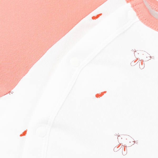 Set 2 Bodysuit kháng khuẩn Modal đùi Animo VD0725010 (0-12M,Dâu-trắng,TT06)