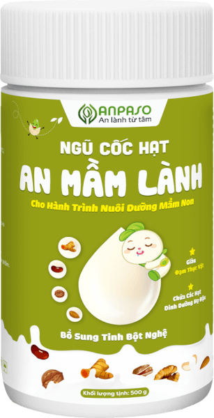 Ngũ cốc hạt An mầm lành Anpaso 500gr