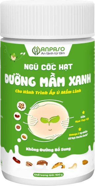 Ngũ cốc hạt Dưỡng mầm xanh Anpaso 500g