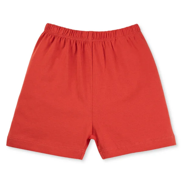 Bộ bé trai áo tay ngắn quần ngắn Animo easy (1-4Y) HN0525058