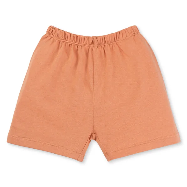 Bộ bé trai áo tay ngắn quần ngắn Animo easy (1-4Y) HN0725015