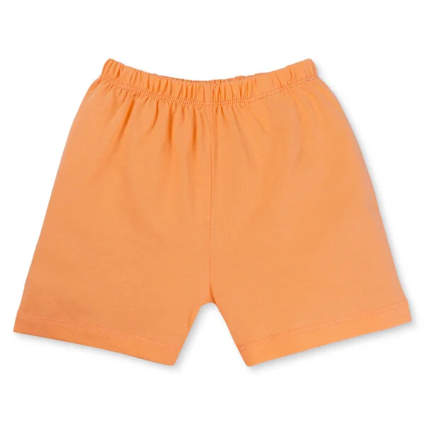 Bộ bé trai áo tay ngắn quần ngắn Animo easy (1-4Y) HN0725015