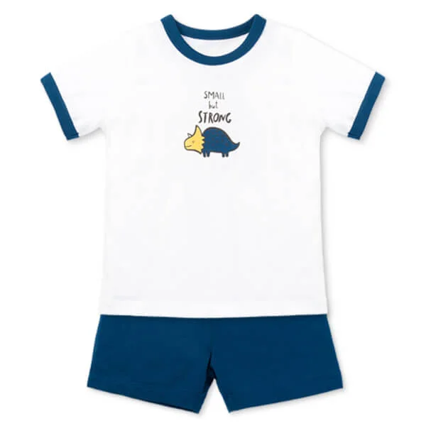 Bộ bé trai áo tay ngắn quần ngắn Animo easy (1-4Y) HN0925036