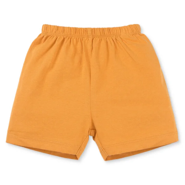 Bộ bé trai áo tay ngắn quần ngắn Animo easy (1-4Y) HN0925036