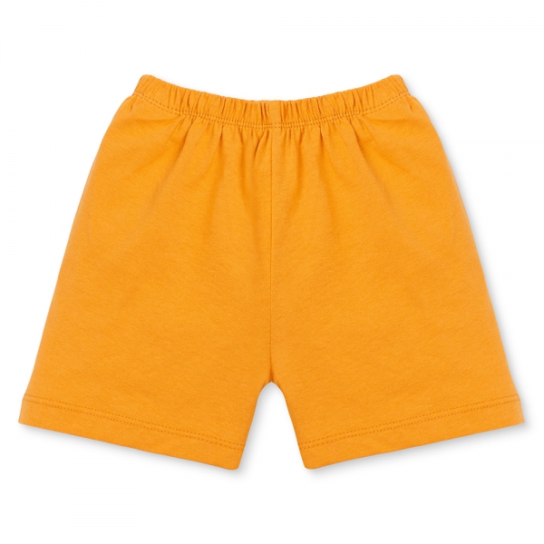 Bộ bé trai ngắn Animo Easy HN0925048 (1Y,Dương-vàng, DD01)