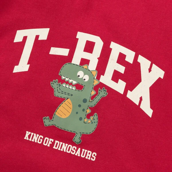 Bộ bé trai dài Animo Easy HN1125050 (1-4Y,Đỏ-xám)