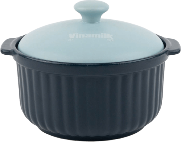 QT VNM - Nồi đất cao cấp Enviecasa (Màu tím)