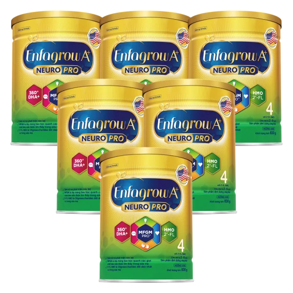 Combo 6 Sữa Enfagrow A+ số 4 830g (2-6 tuổi) 2Flex