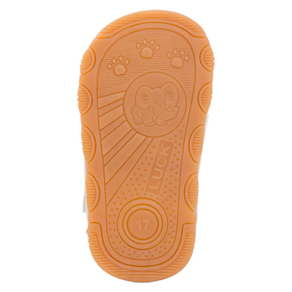 Giày tập đi chút chít Animo BT A2511_MN002 (14-17, Xanh)